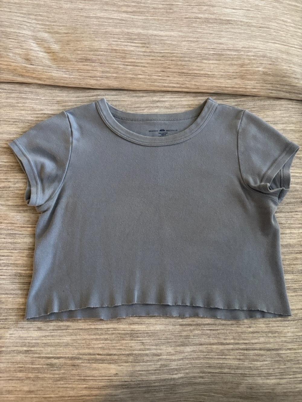Brandy Melville Blue Crop Top